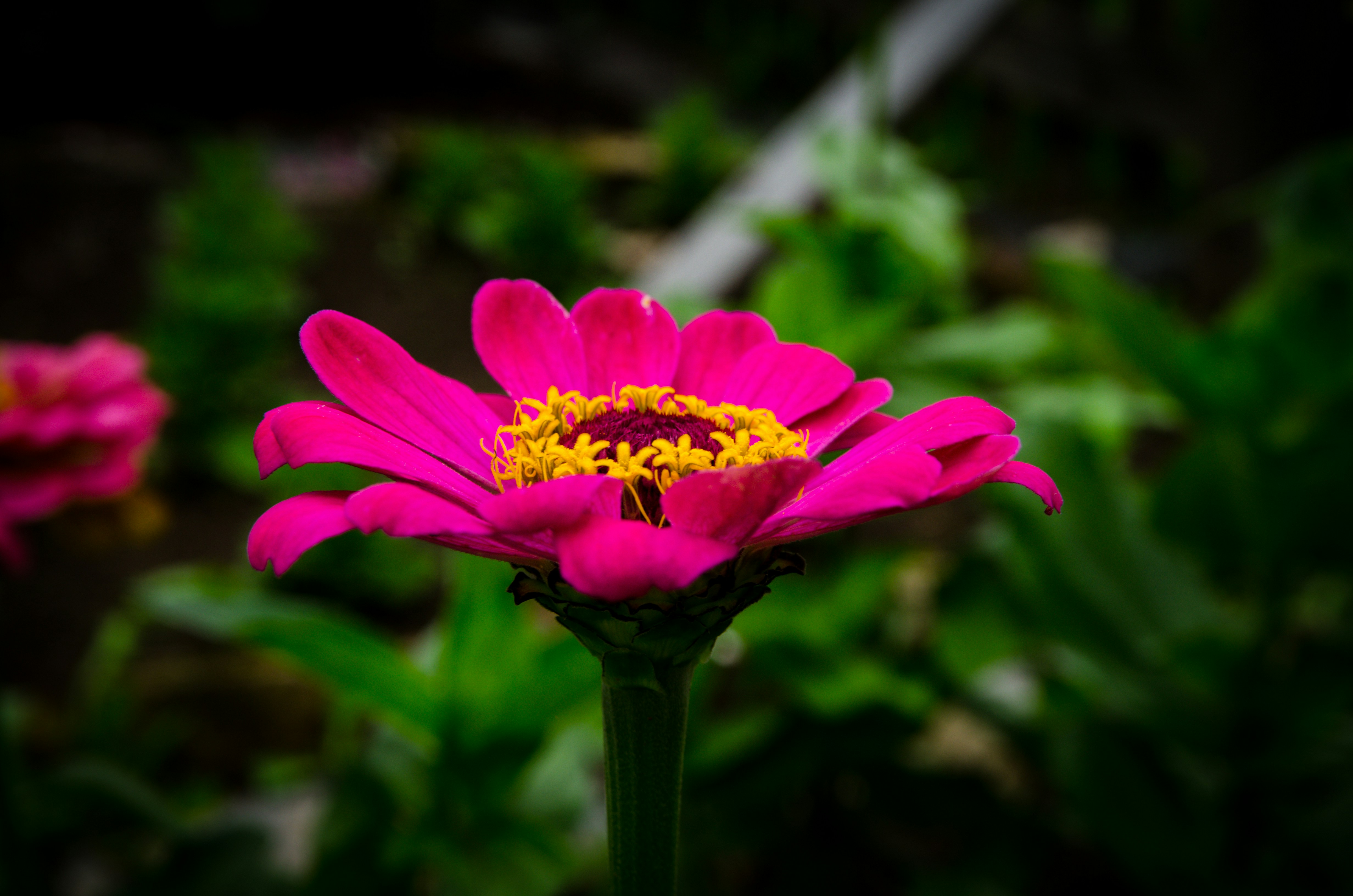 Photo by alexkhaizeman