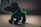 A small, black, knitted toy dog stands on a flat surface. It wears a bright green ribbon around its neck. The lighting creates a soft contrast, highlighting the texture of the knit material.