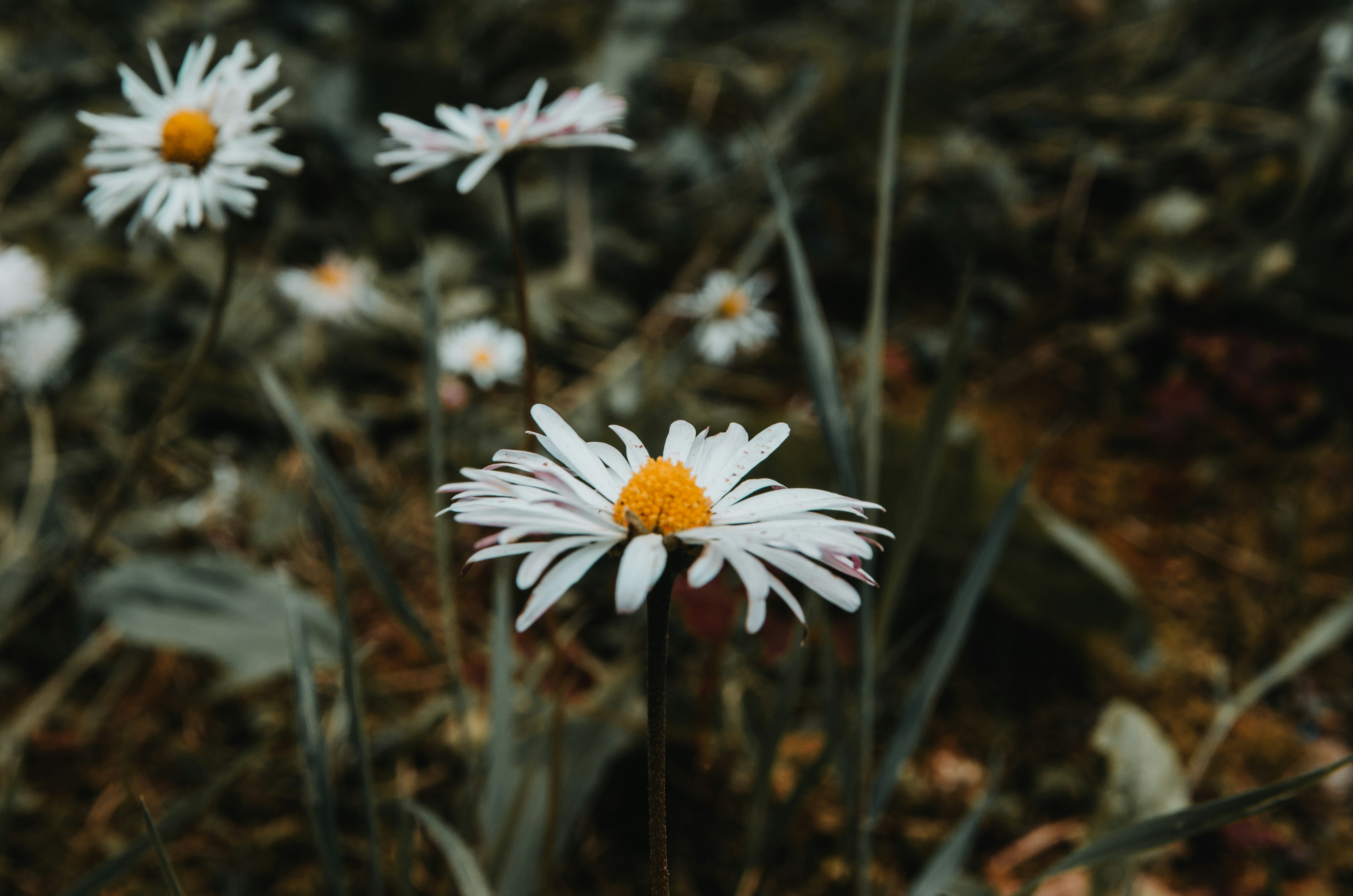 Photo by alexkhaizeman