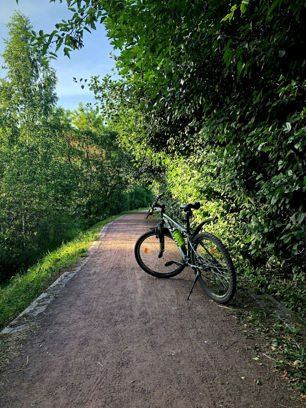 green bicycle beside plants