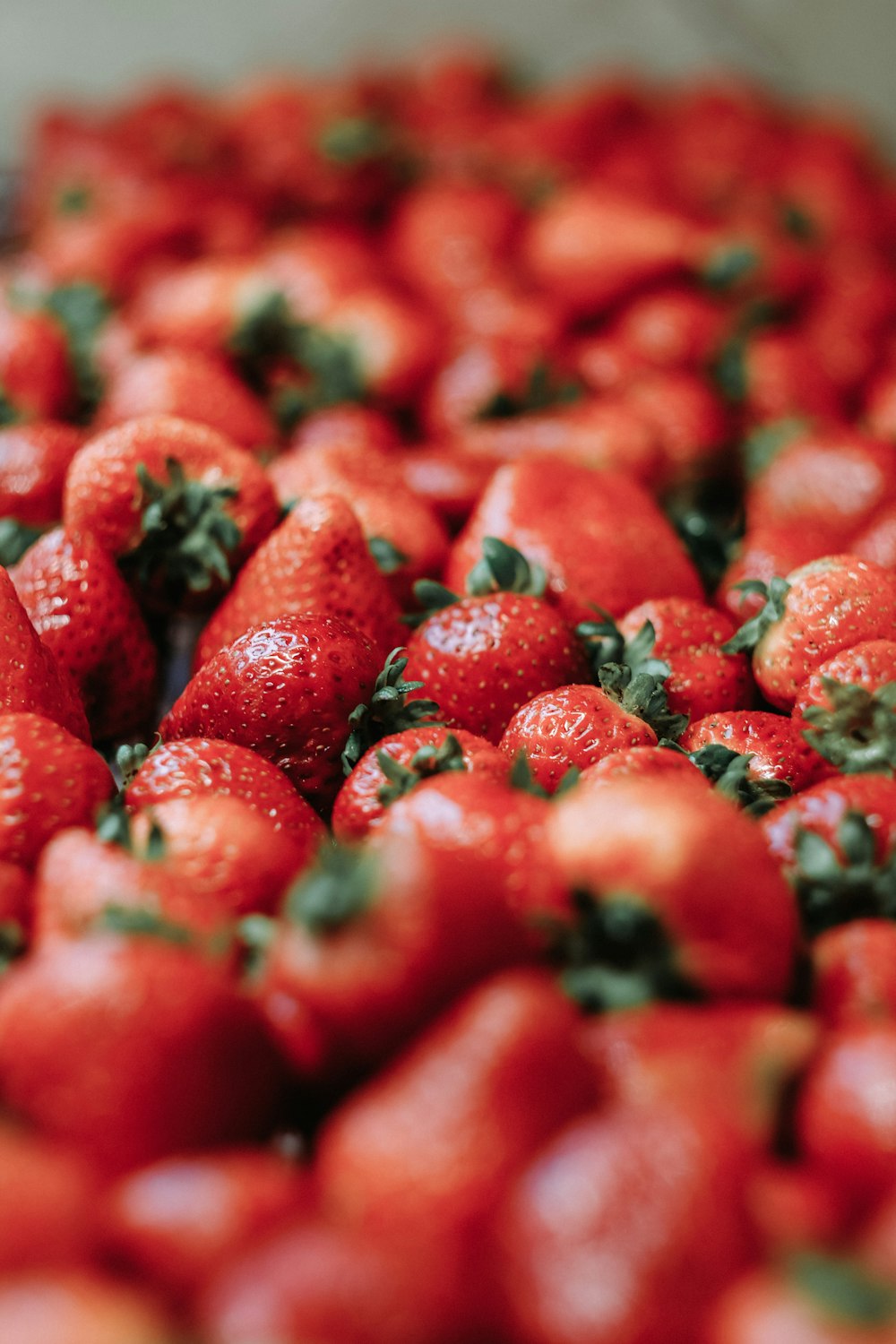 Photographie en gros plan de fruits de fraises rouges