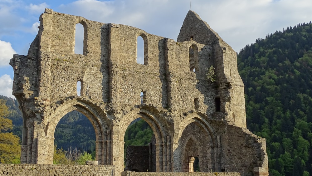 brown concrete ruin building