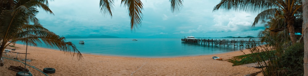 brown sand beside body of water at daytime