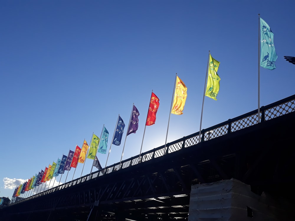 assorted-color flags