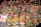 A market stall displays numerous bags of spices and herbs, each labeled with a price and name on red signs. The bags are neatly stacked, showcasing a variety of textures and colors. Some familiar spices such as mint, basil, and rosemary are visible.
