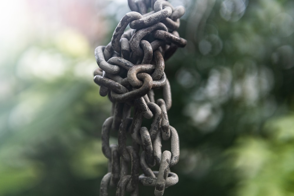 grey chain-link in selective-focus photography