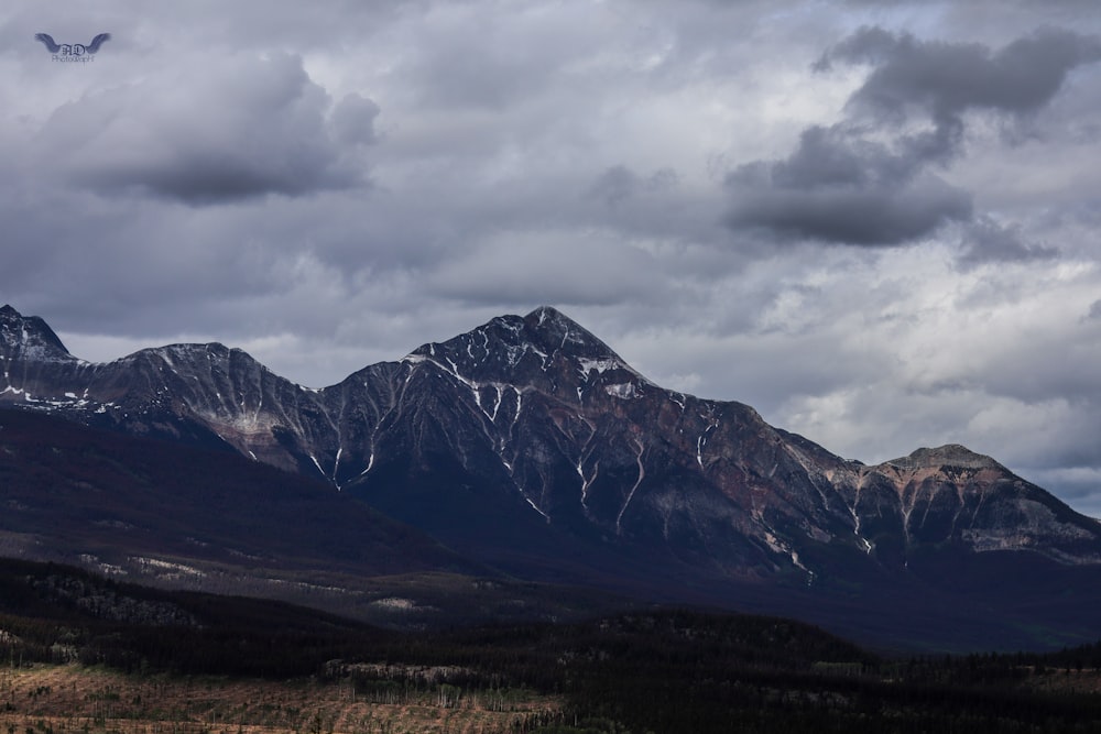 mountains during daytime