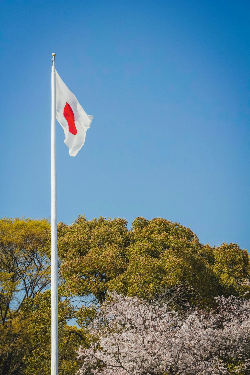 Japanische Flagge tagsüber