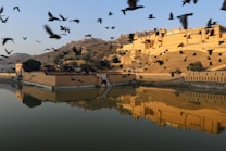 A historic fort is prominently featured in the image, sitting atop a hill and bathed in golden sunlight. Numerous birds are flying in the sky above the fort. Below, the fort and the birds are reflected in the calm waters of a large lake.