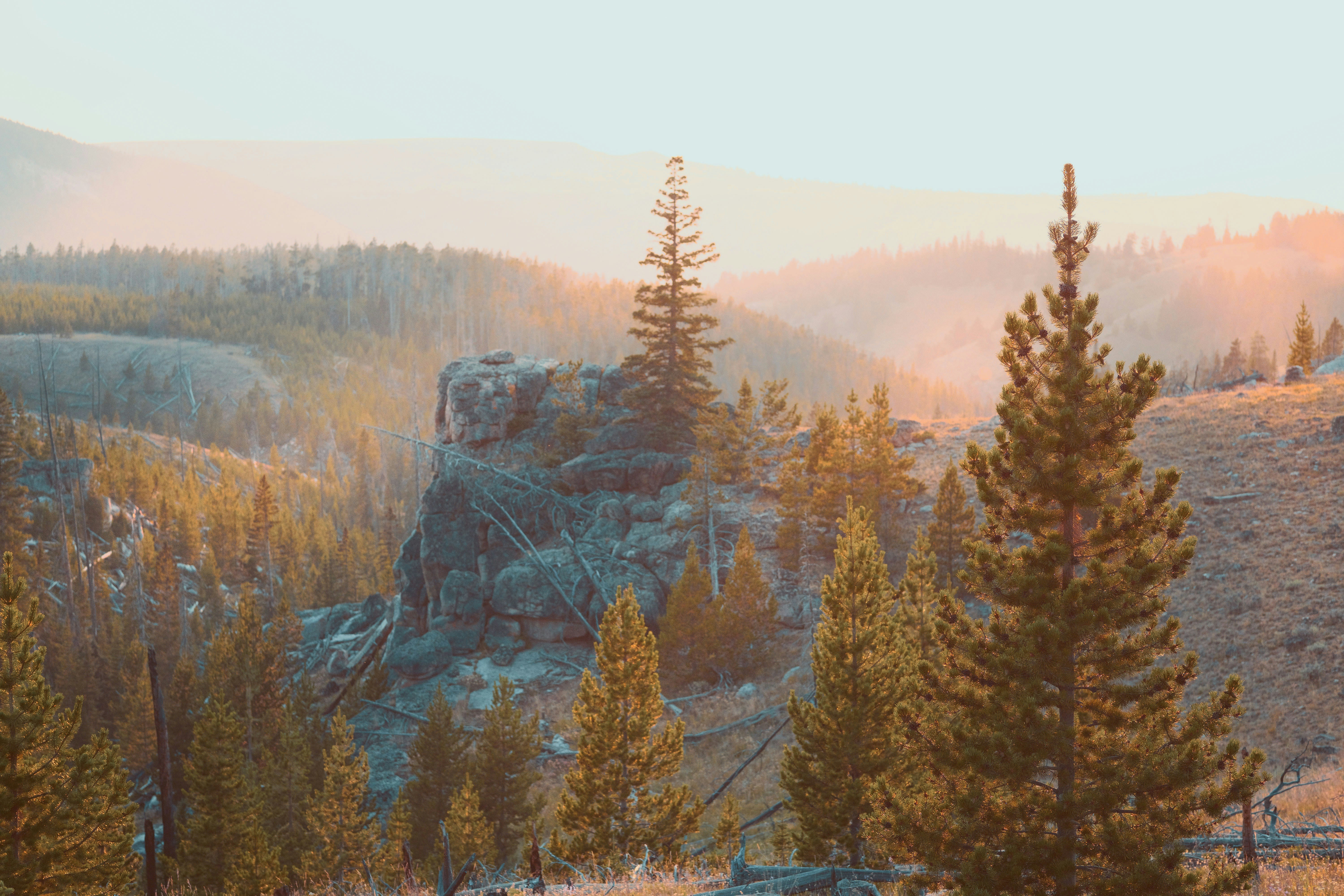 Photo by nathantrampe