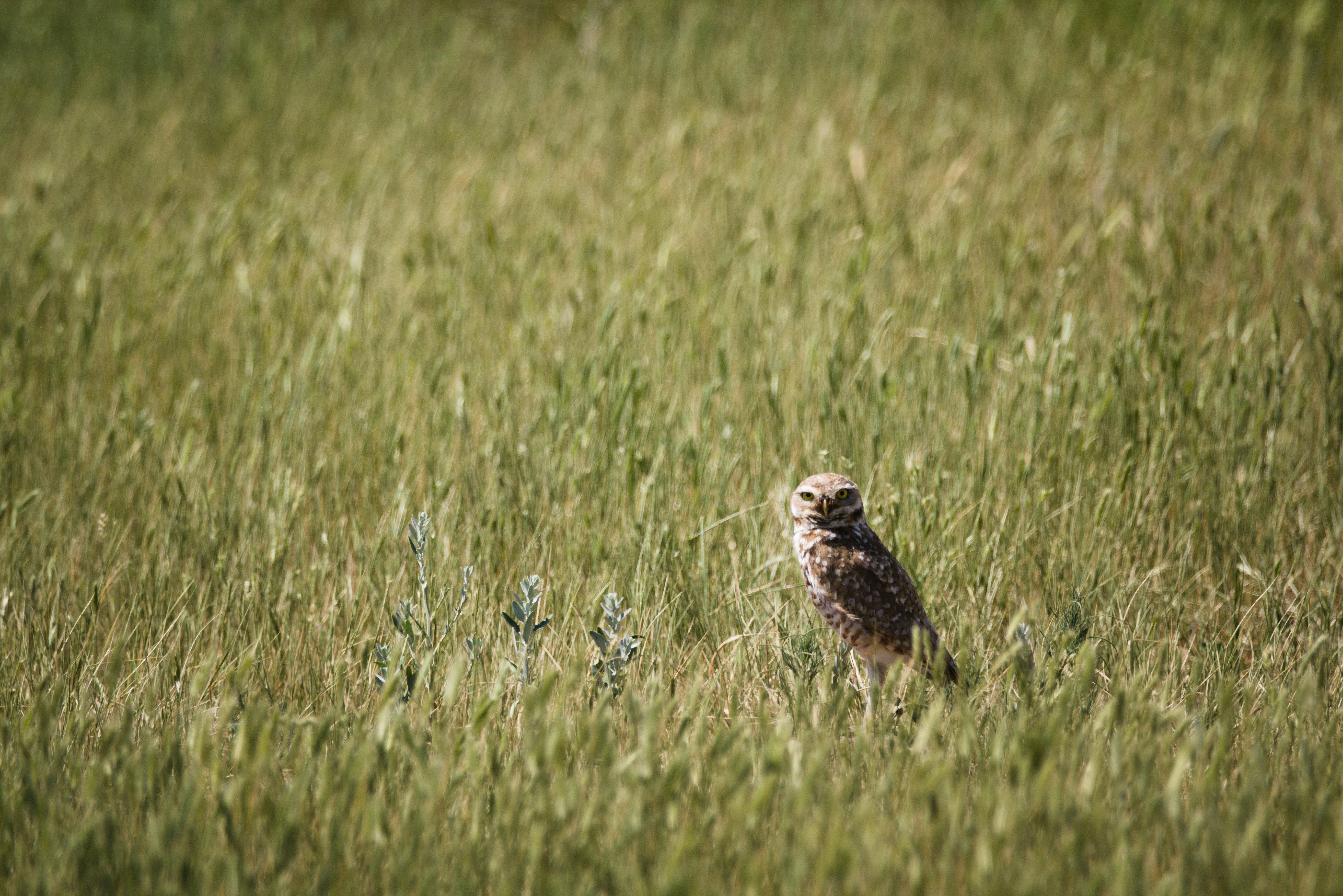 Photo by stephencpedersen