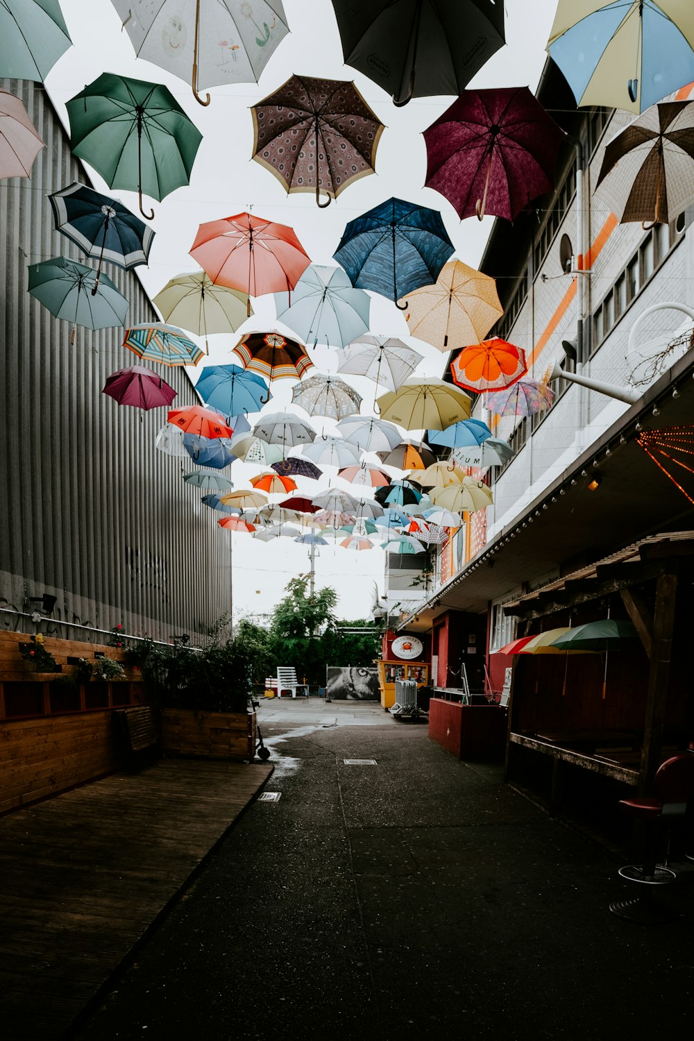 hanging umbrellas on street