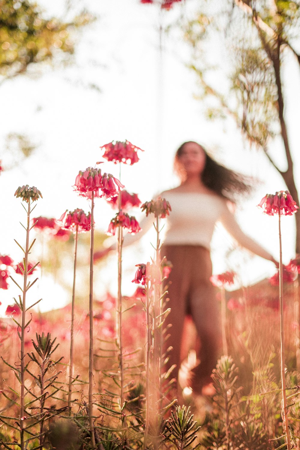 woman walking on red flower field
