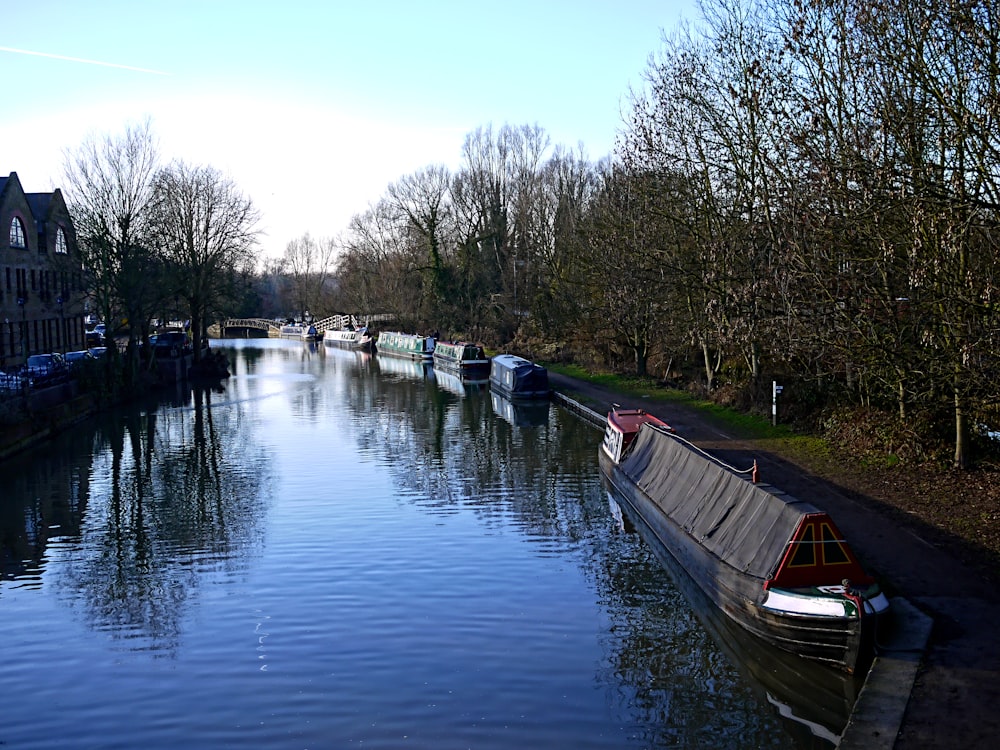 boat lot in water near trees and house during daytime