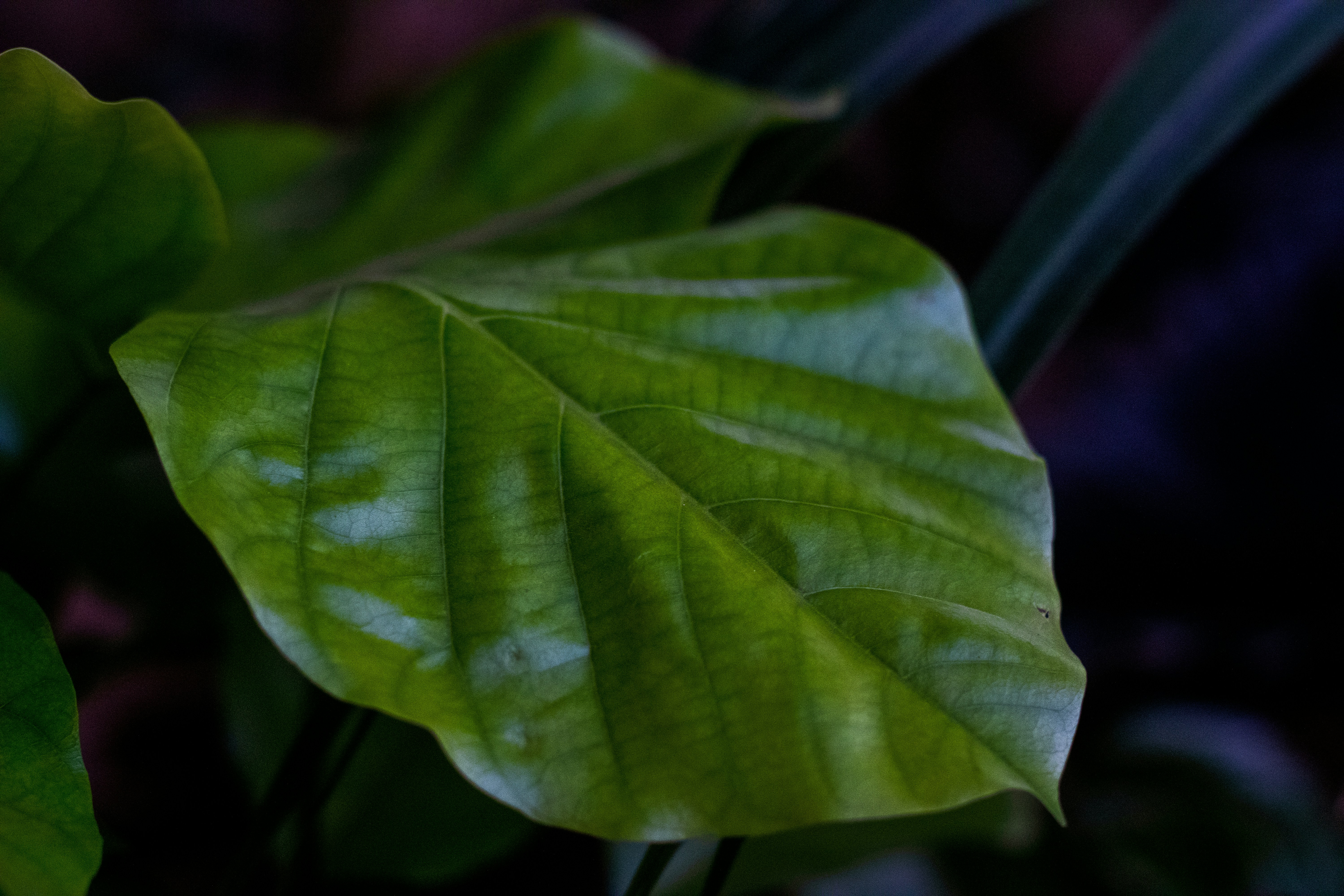 Photo by chaudharyrupendra98