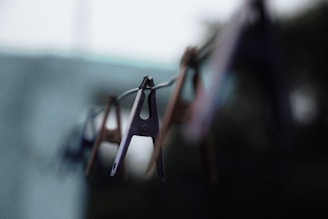 A close-up of stainless steel clothespins hanging on a clothesline.