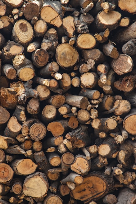 A large pile of cut logs stacked together, displaying various sizes and shades of brown and gray. The wood shows visible grain patterns and cut marks on the ends, indicating they are ready for processing or burning.