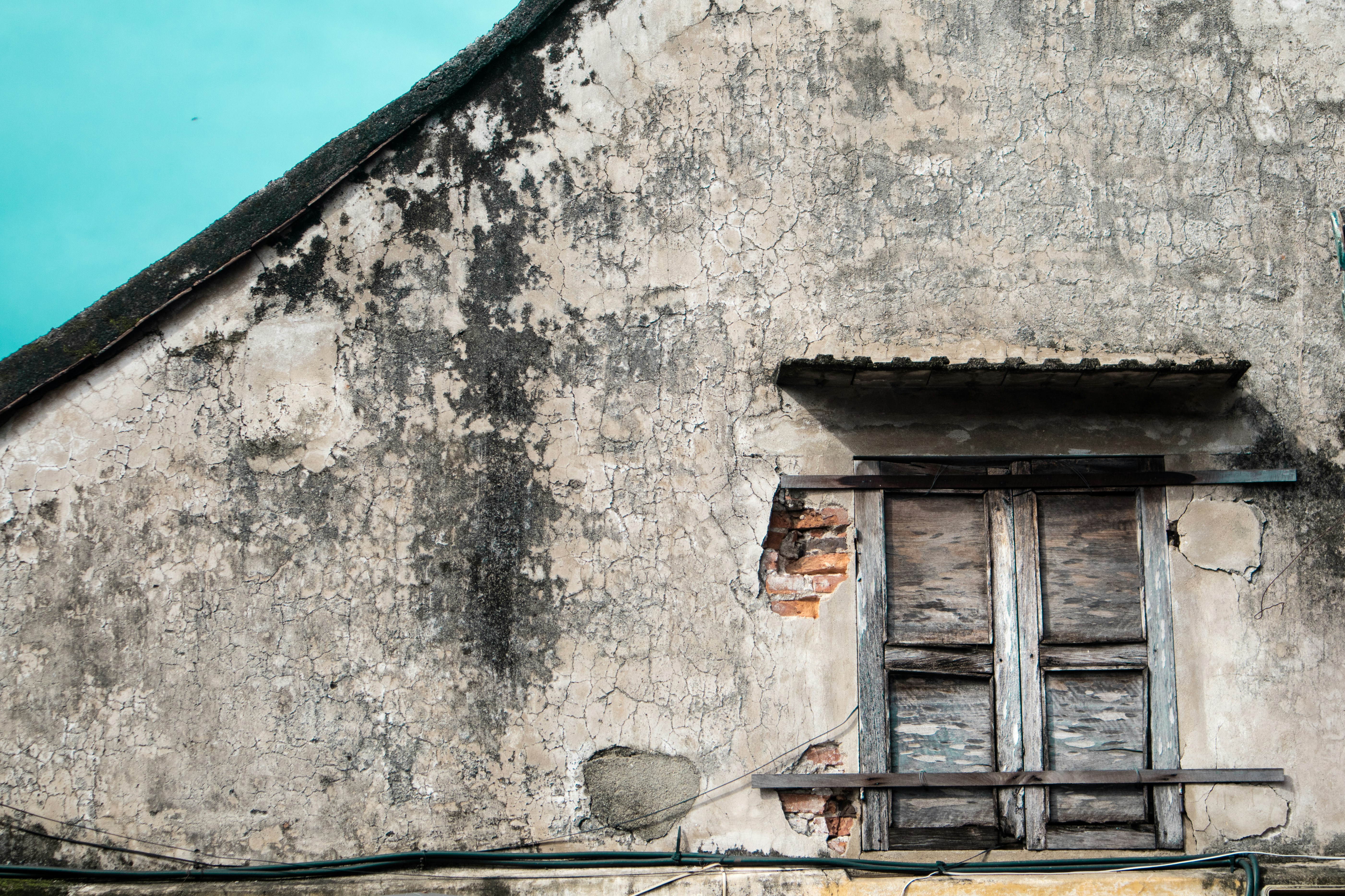 Photo by thanhsoledas