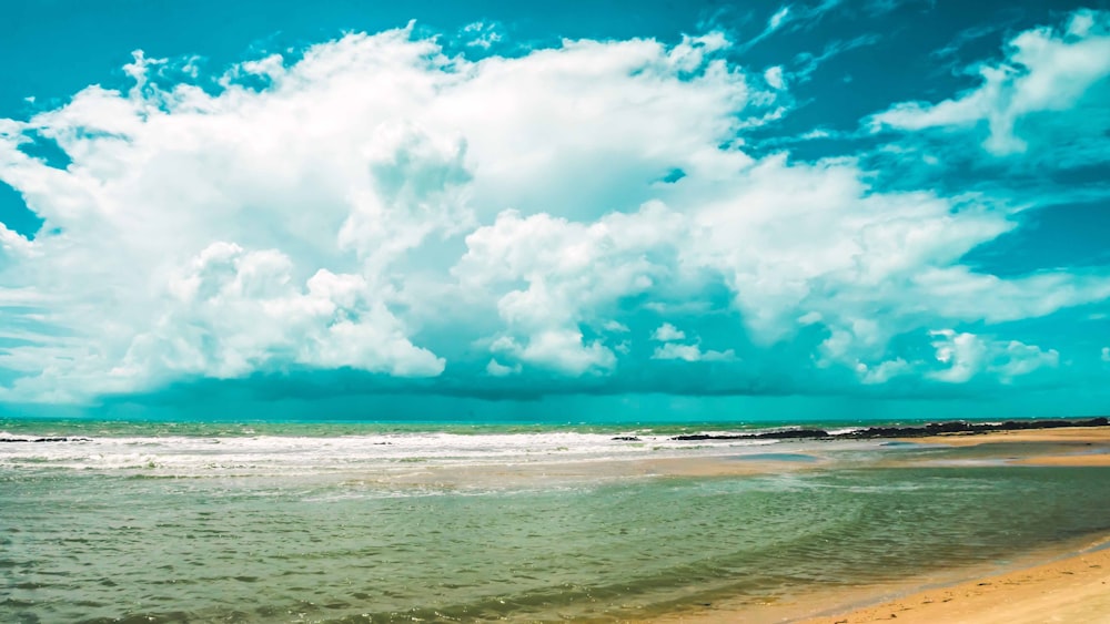 seashore under clear blue sky and whtie clouds during daytime