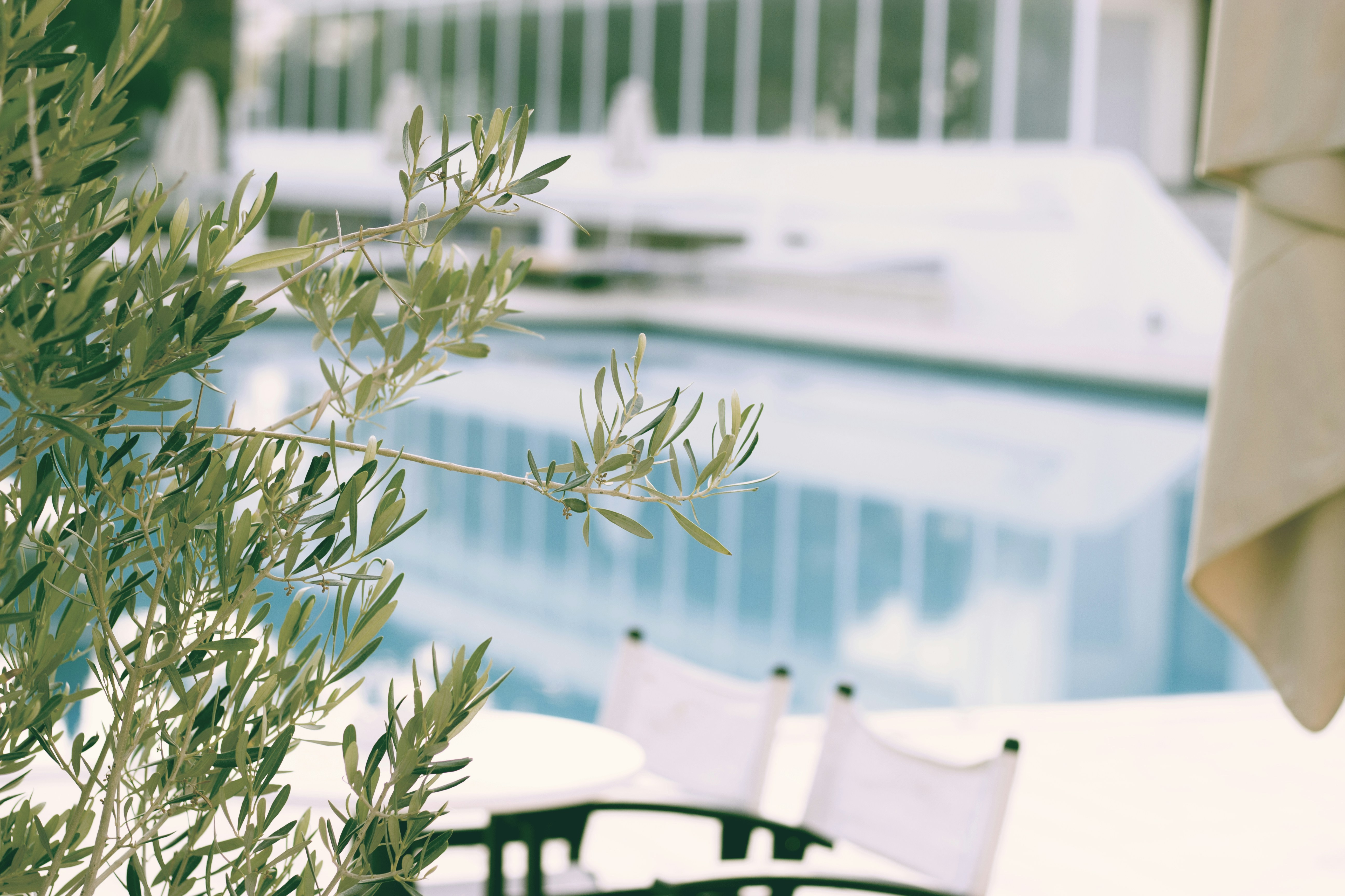 Photo by clarkstudio