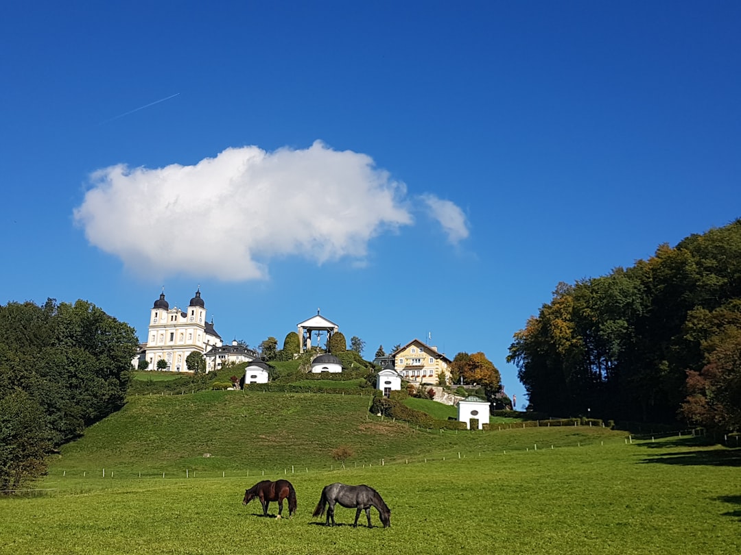 Natural landscape photo spot Plainbergweg 32 Mirabellgarten