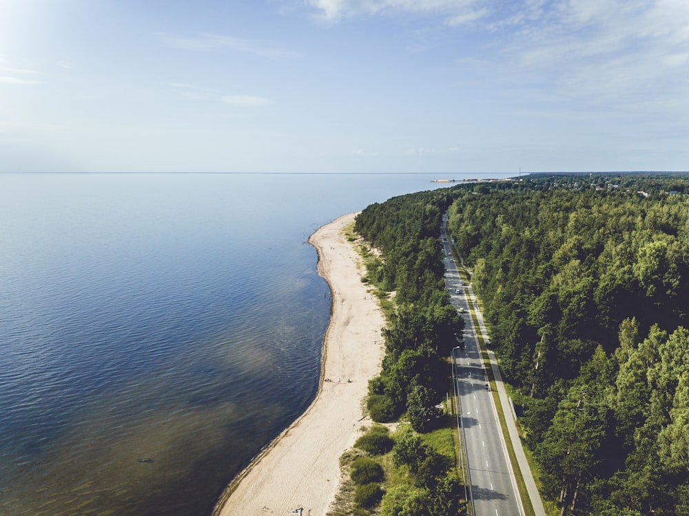 aerial photograph of road beside sea
