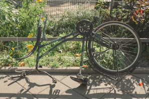 A bicycle frame is seen without its front wheel and saddle, resting upside down on a paved surface. The background features lush green plants and yellow flowers, enclosed by a metal fence. The sunlight casts distinct shadows of the bicycle onto the pavement.