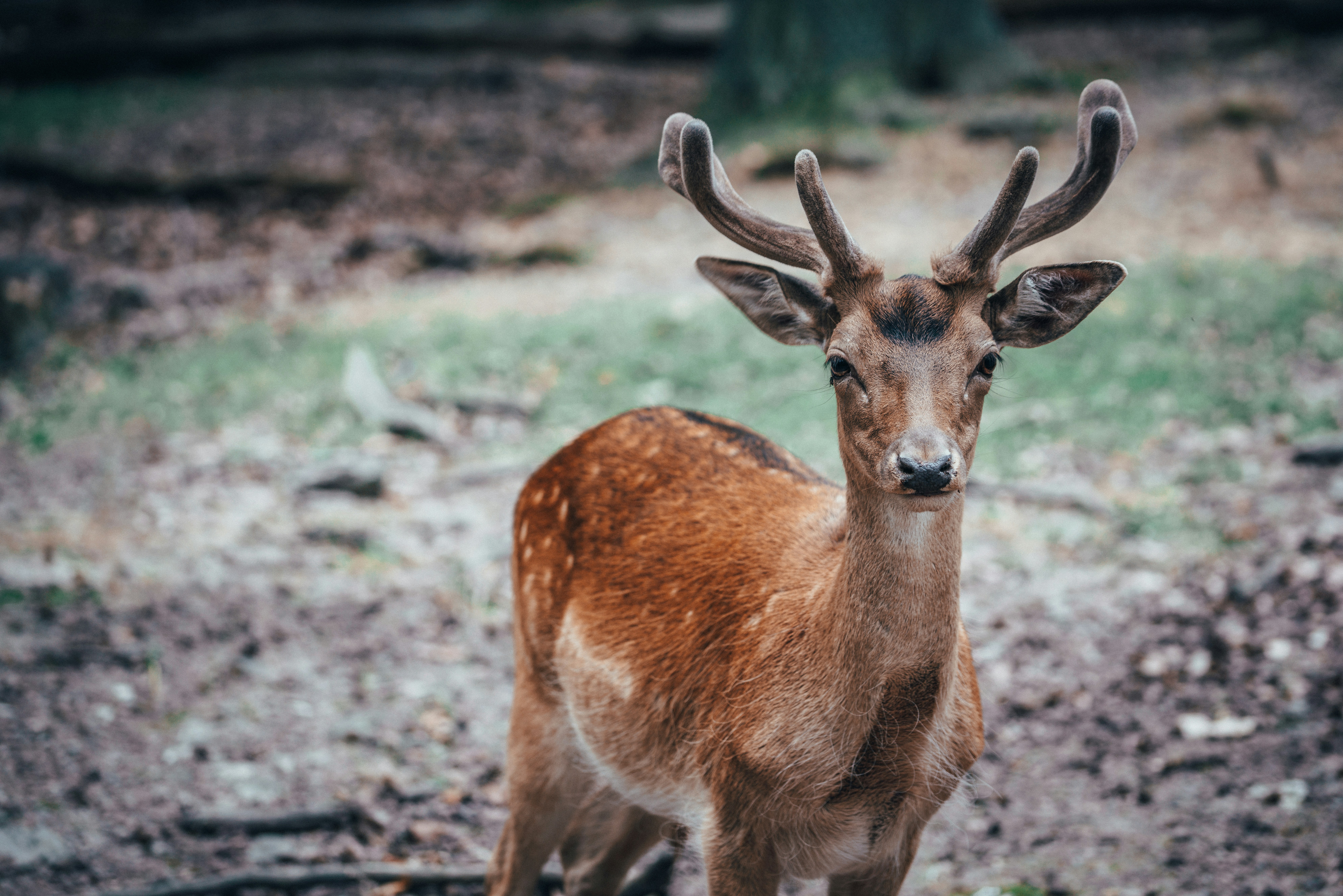 Photo by mirkosphoto