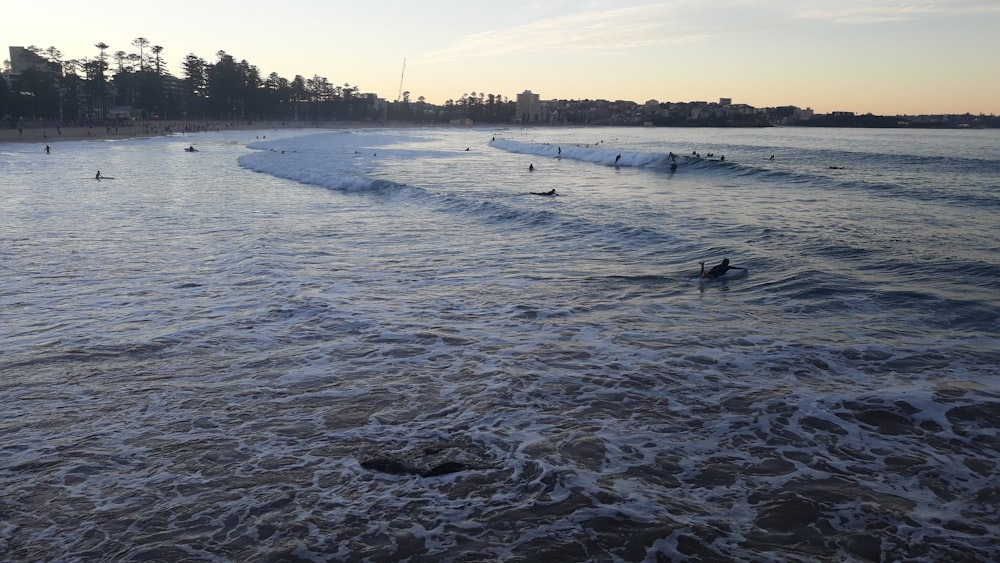 a group of people riding surfboards on top of a wave