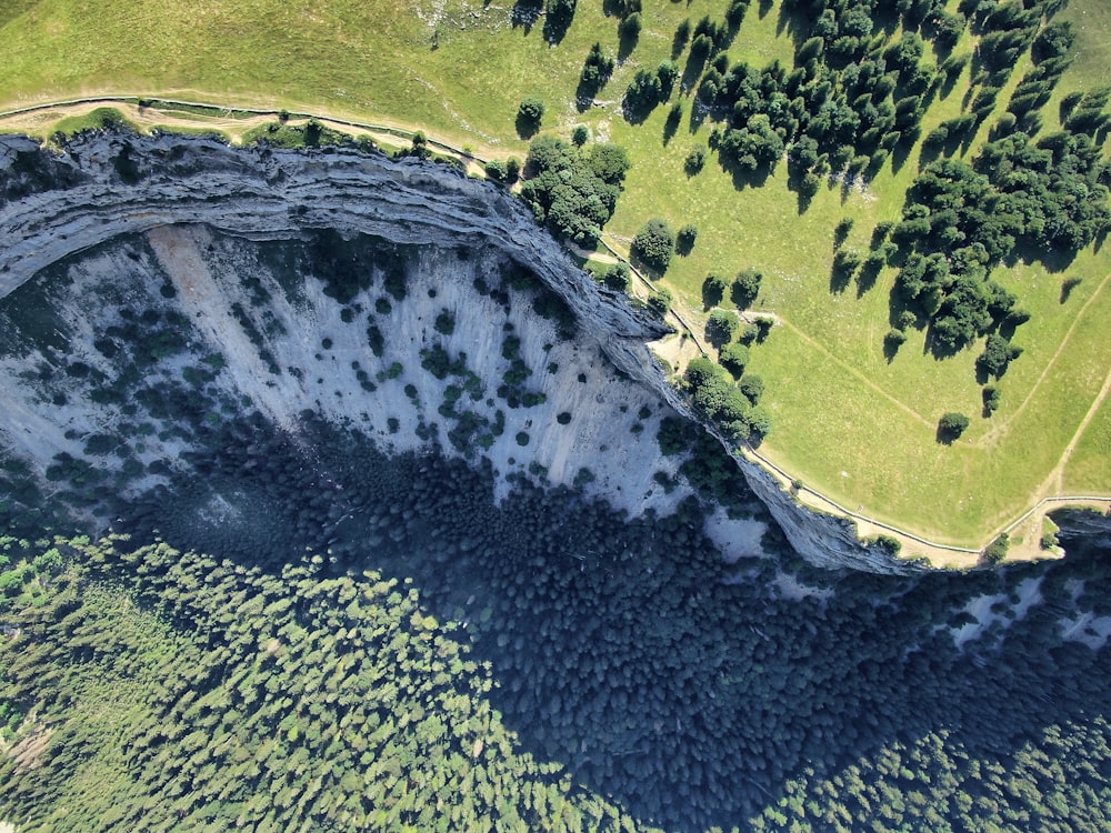 high angle photo of green trees near cliff