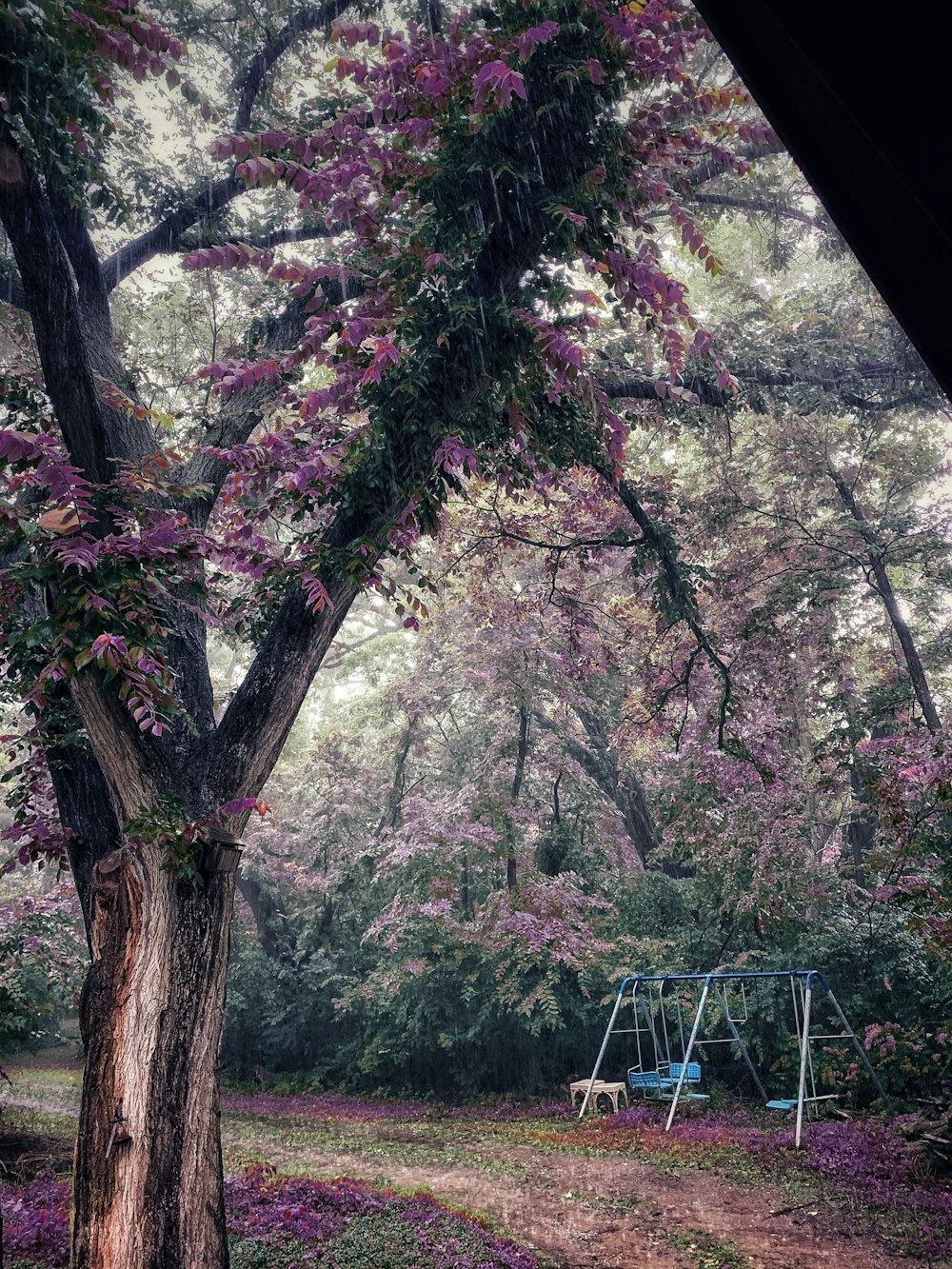 blue metal swing near trees