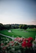 green grass lawn