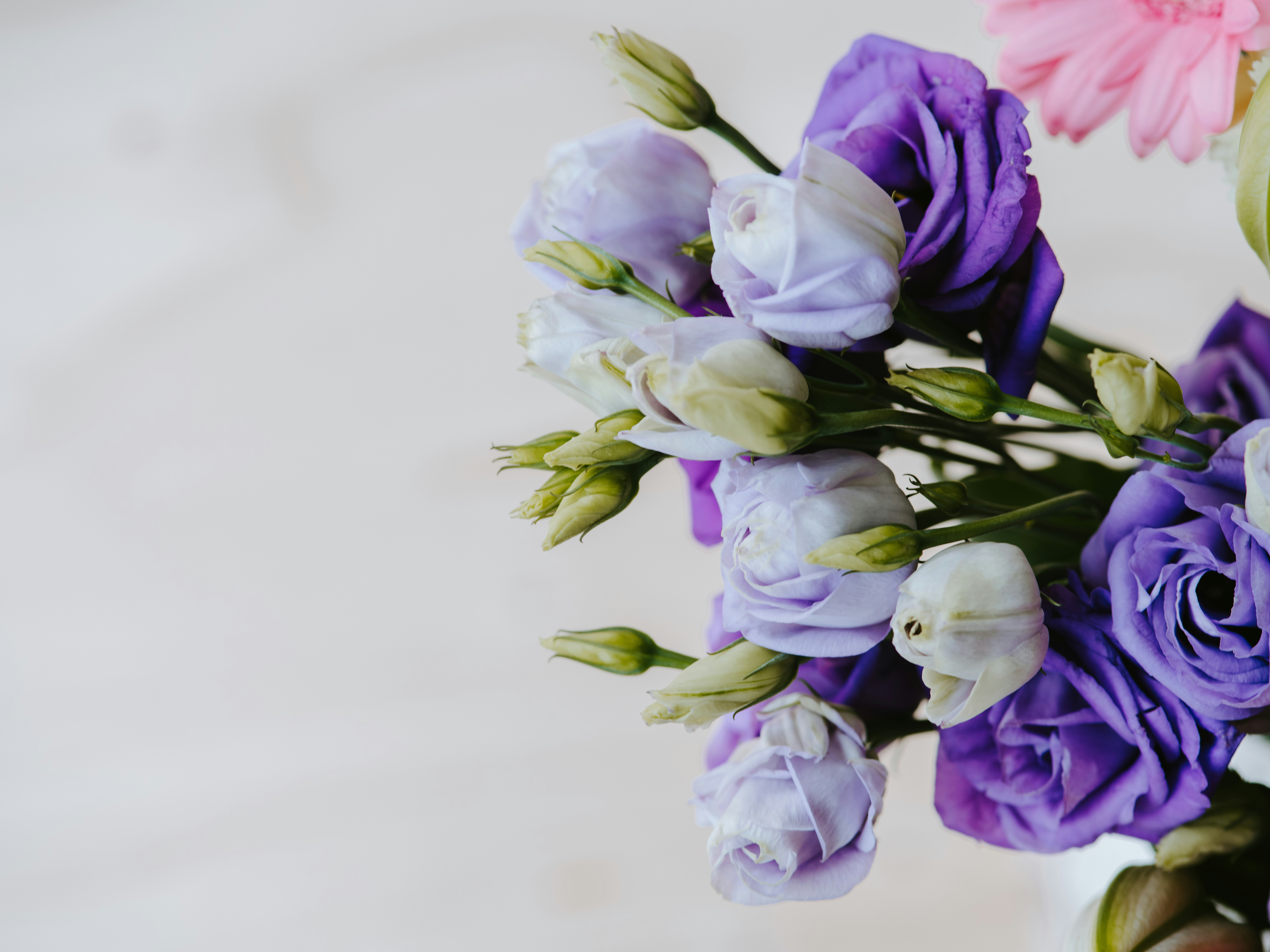 Photo by anniespratt