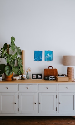 A tidy room with a light-colored wooden cabinet adorned with houseplants, framed photographs, a vintage camera, and decorative items stands against a plain wall. Two small blue art prints are pinned above the cabinet, adding a touch of color to the minimalist setting. A table lamp on the right offers a warm accent.