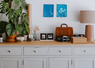 brown table lamp near green plants