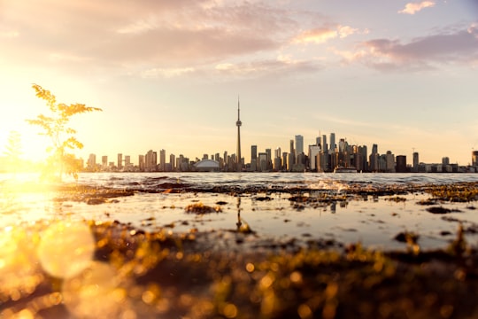 high rise building by the sea in Toronto Canada