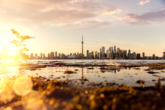 photo of Toronto Islands Skyline near Toronto