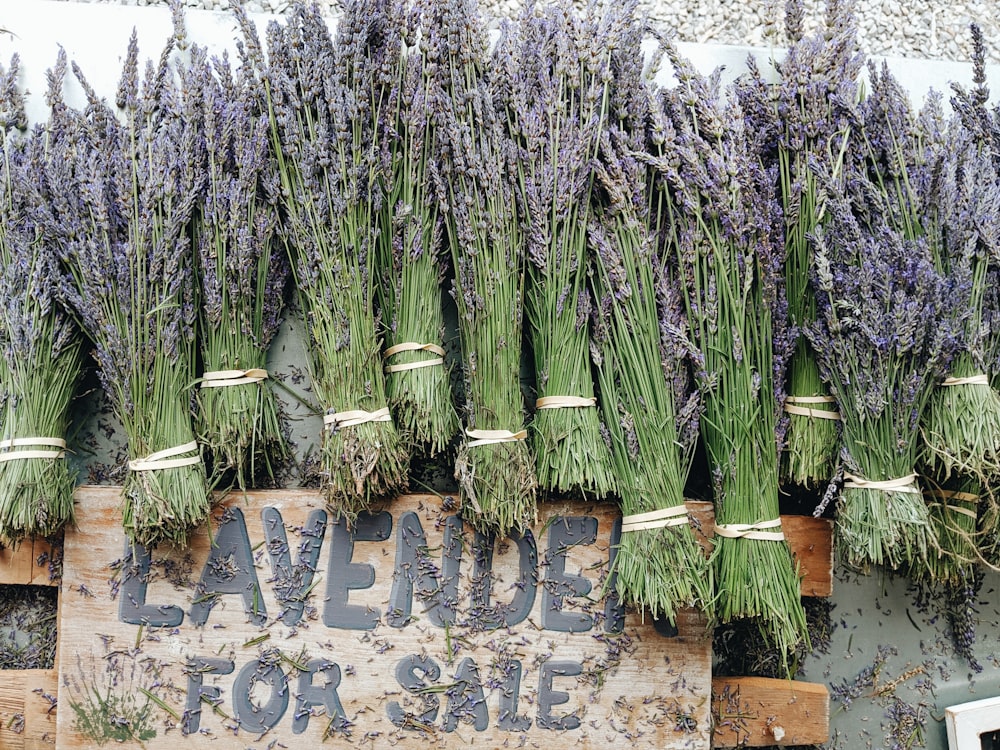 pile of ]lavenders