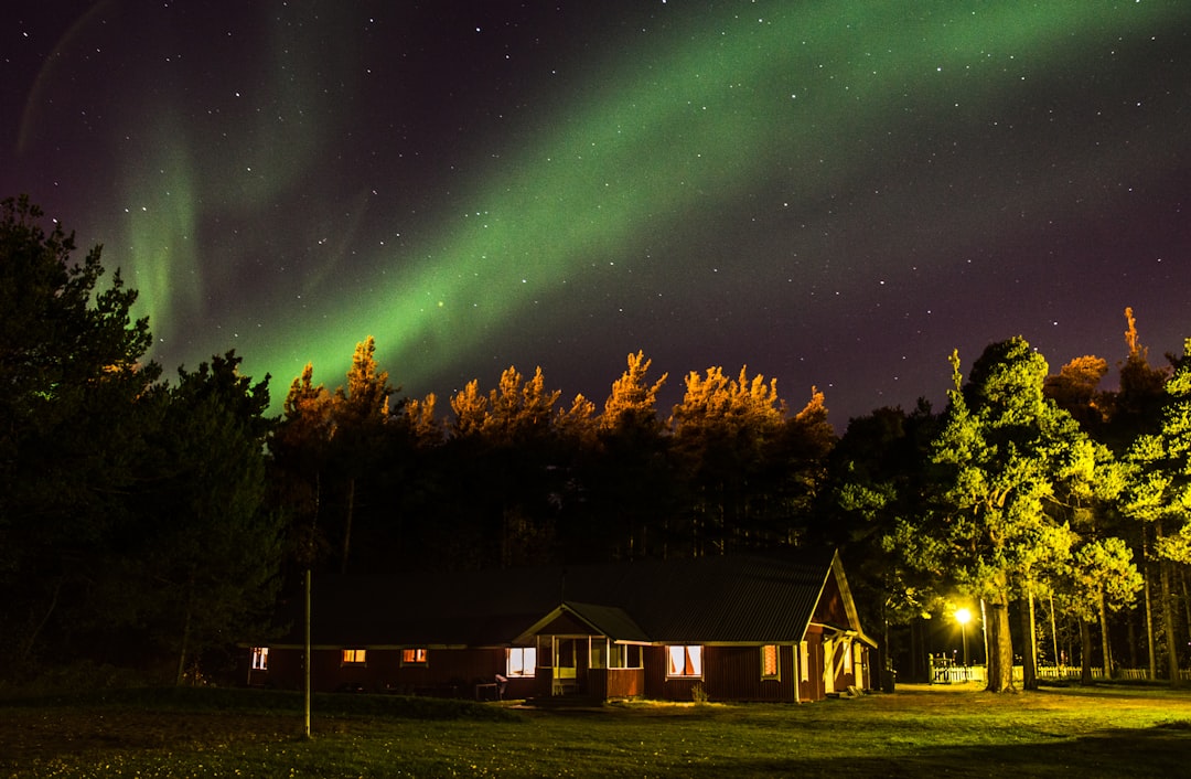 aurora lights, Cabin View<p></figure>@dascalvisual