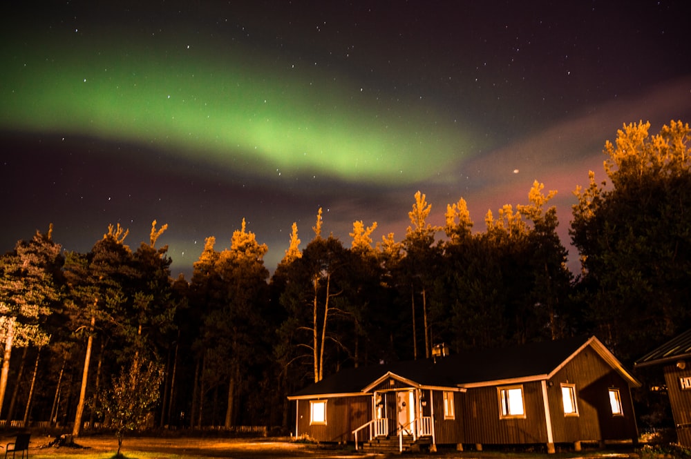 maison en bois marron entourée d’arbres la nuit