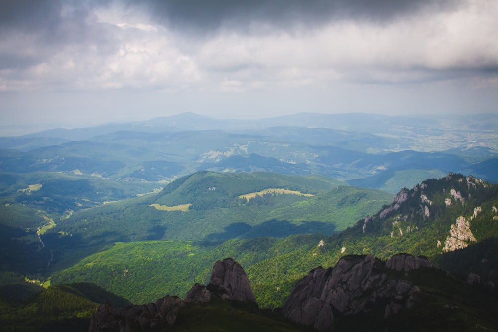 hills in forest