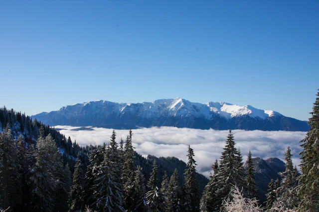 Cazare în Poiana Brașov