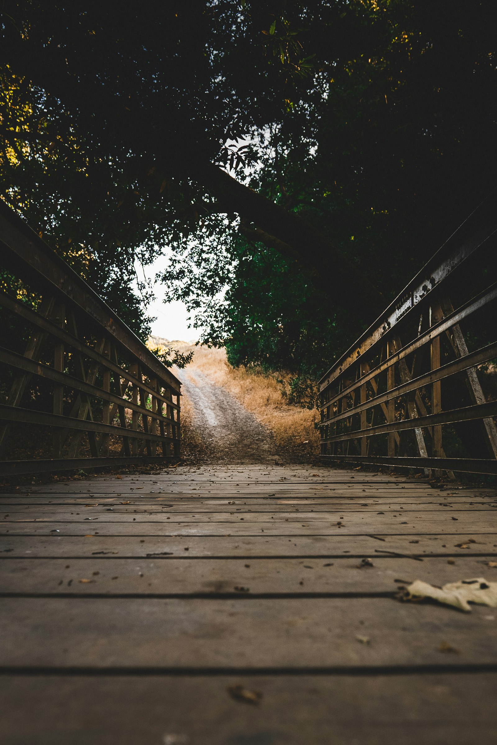 Sony a7 III + Canon 18-35mm F1.8 DC HSM | Art 013 sample photo. Brown wooden bridge photography