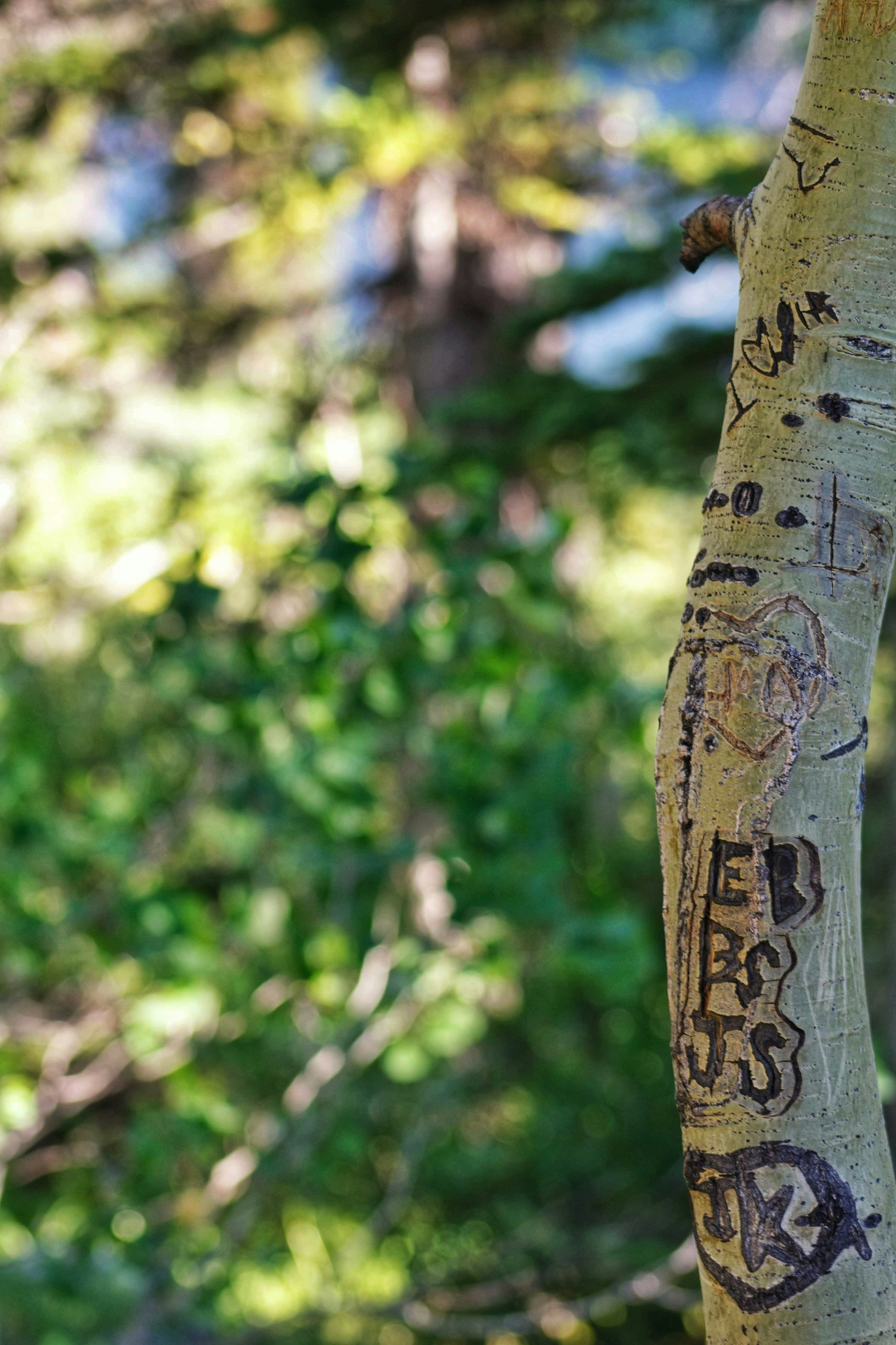 Photo by joshua_hoehne