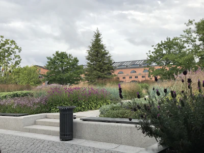 A serene outdoor scene showing a peaceful garden where patients relax after therapy, surrounded by vibrant plants.