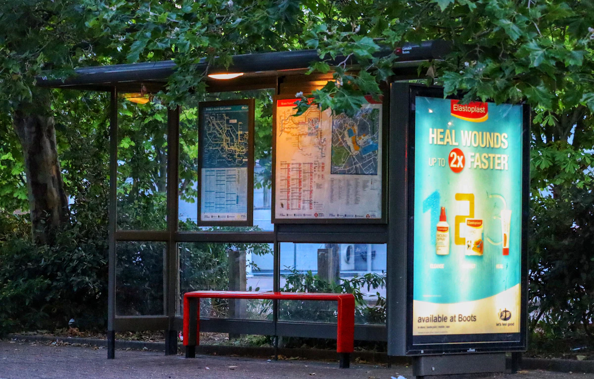 free bus public transit