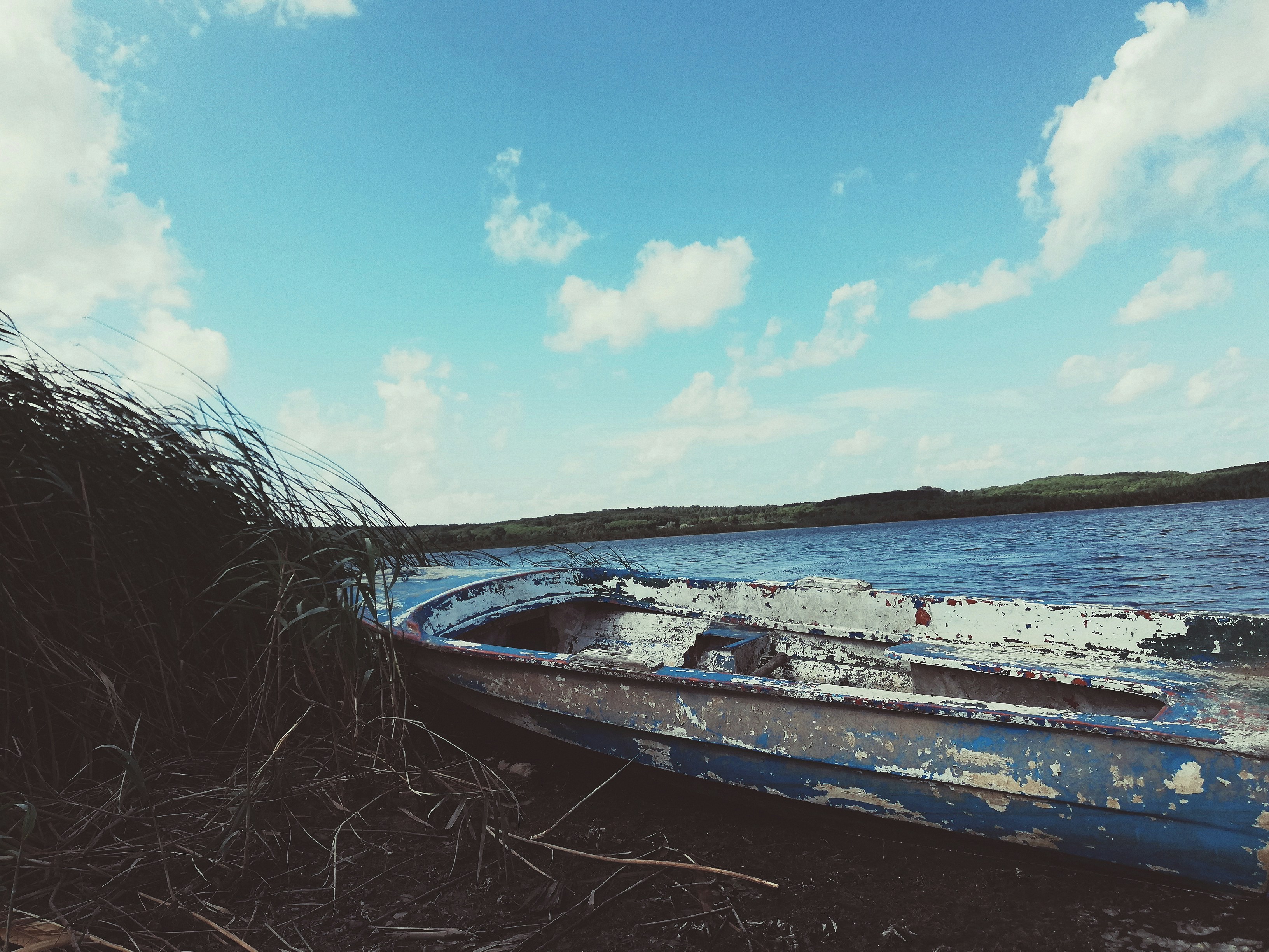Photo by damlaozkan
