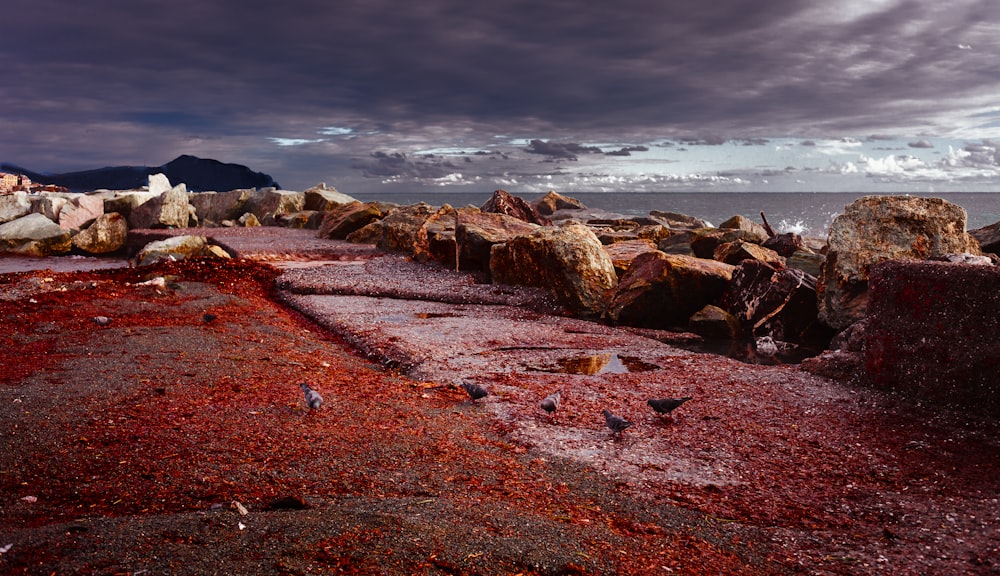 a rocky beach with red sand and a cloudy sky