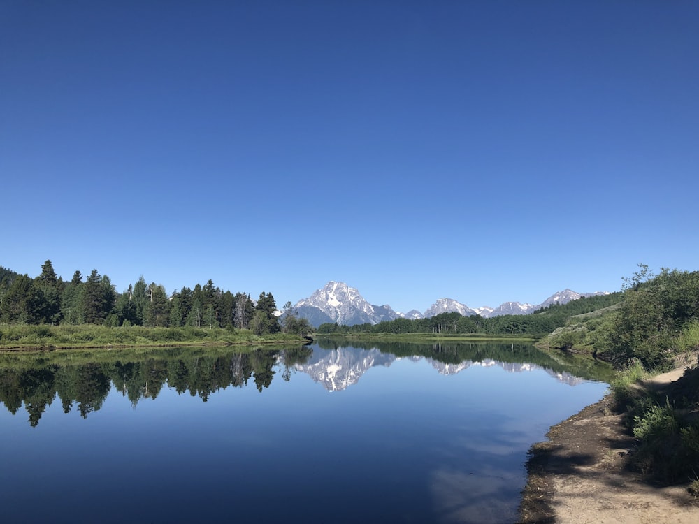 lake in forest