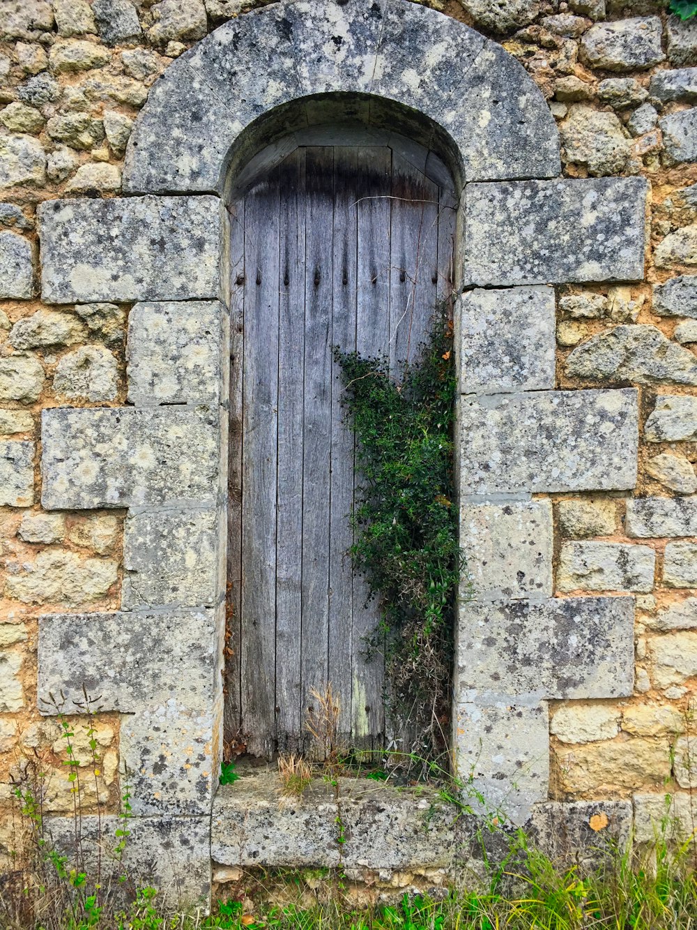 closed gray wooden door